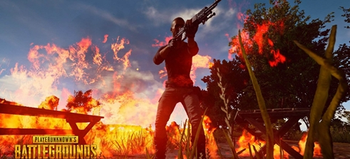 这一操作或 这一操作或