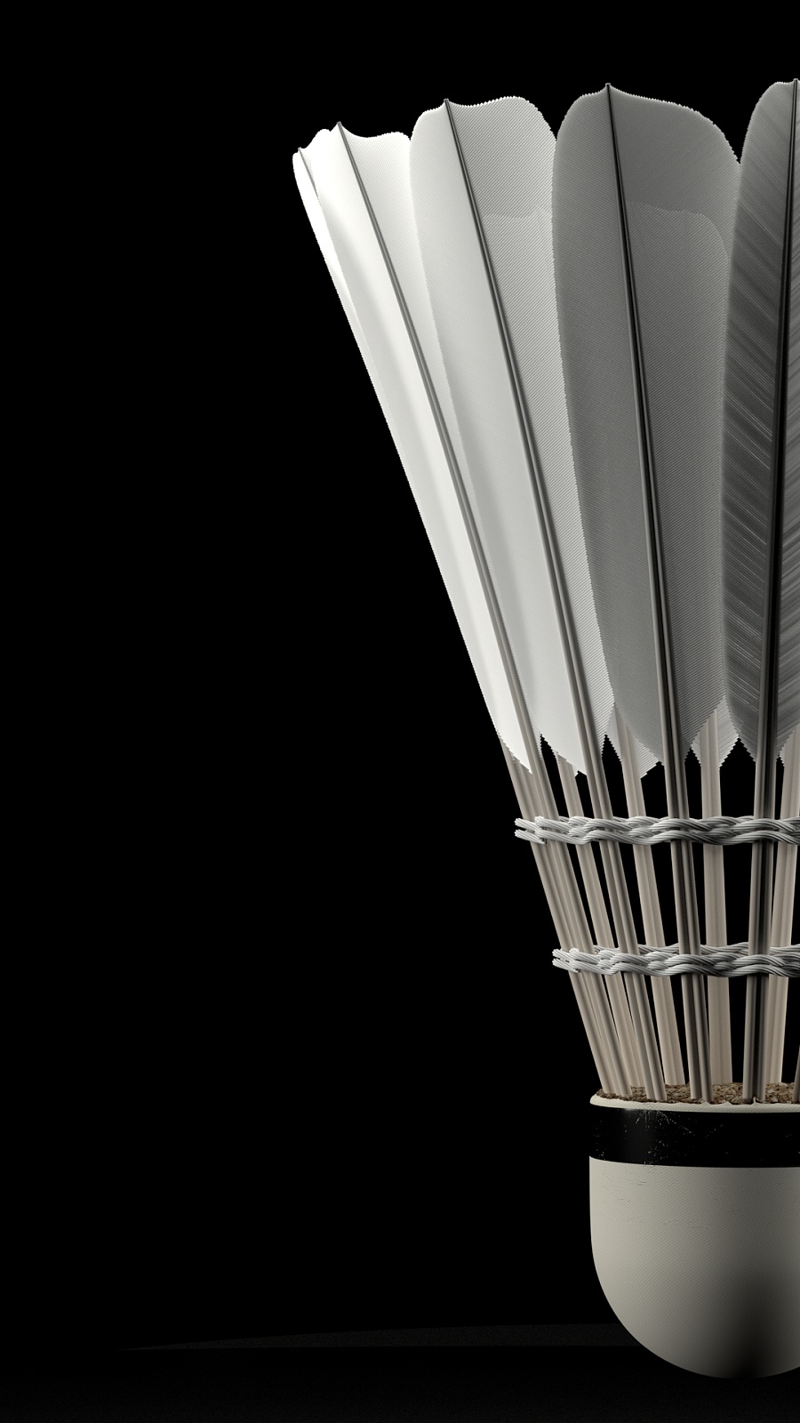 仅展示了两 仅展示了两