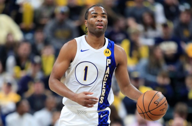 位图的BP 位图的BP